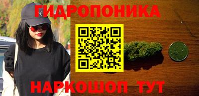 твердый Бердск