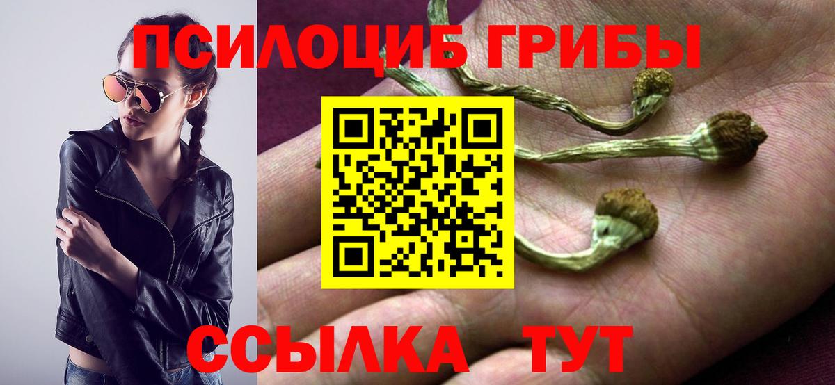 Галлюциногенные грибы Magic Shrooms Великий Новгород